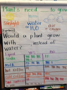 Chart showing Vargas' plant inquiry exercise