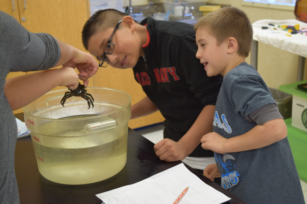 Students meet a crab via the Marine Science Institute.