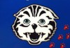 Bishop School Mascot