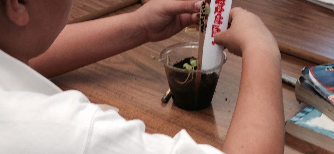 Vargas_Science_4_measure