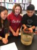 Columbia Middle seventh graders learn about San Francisco Bay invertebrates