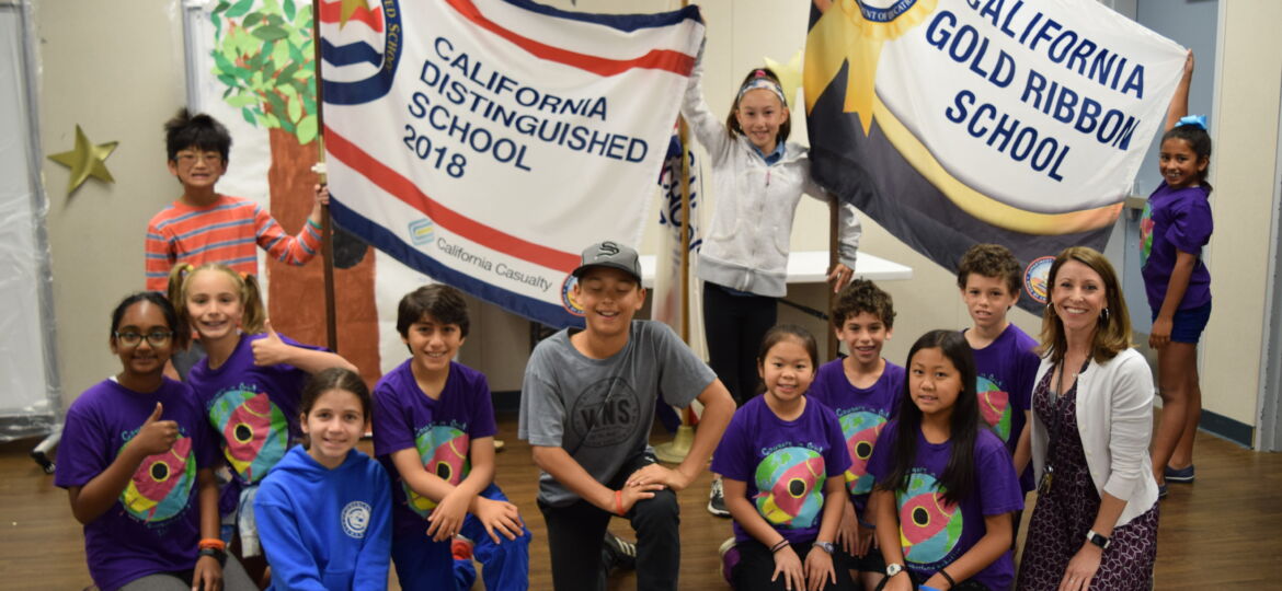 Cumberland new distinguished school flag